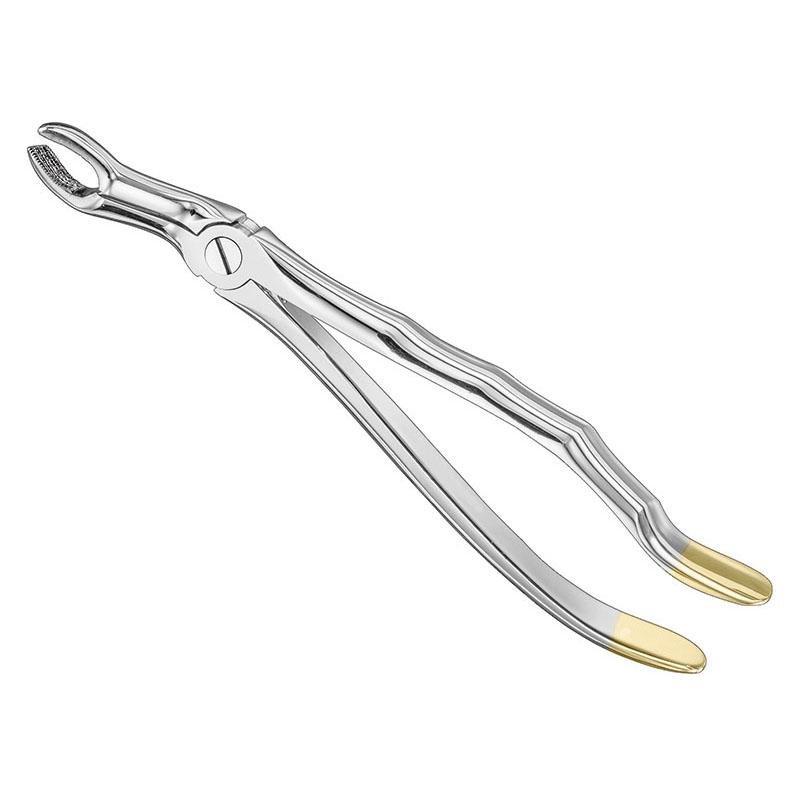 Extracting Forceps Anatomical — Size 67 — Size 67 (SKS-DEN-0008)