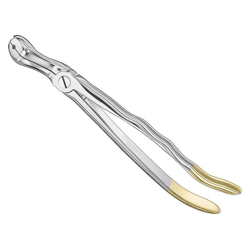 Felsch, Extracting Forceps, Anatomical, Diamond (SKS-DEN-0009)
