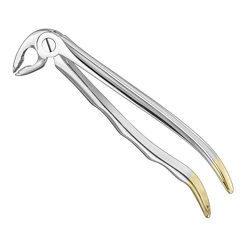 Extracting Forceps Anatomical — Size 36 — Size 36