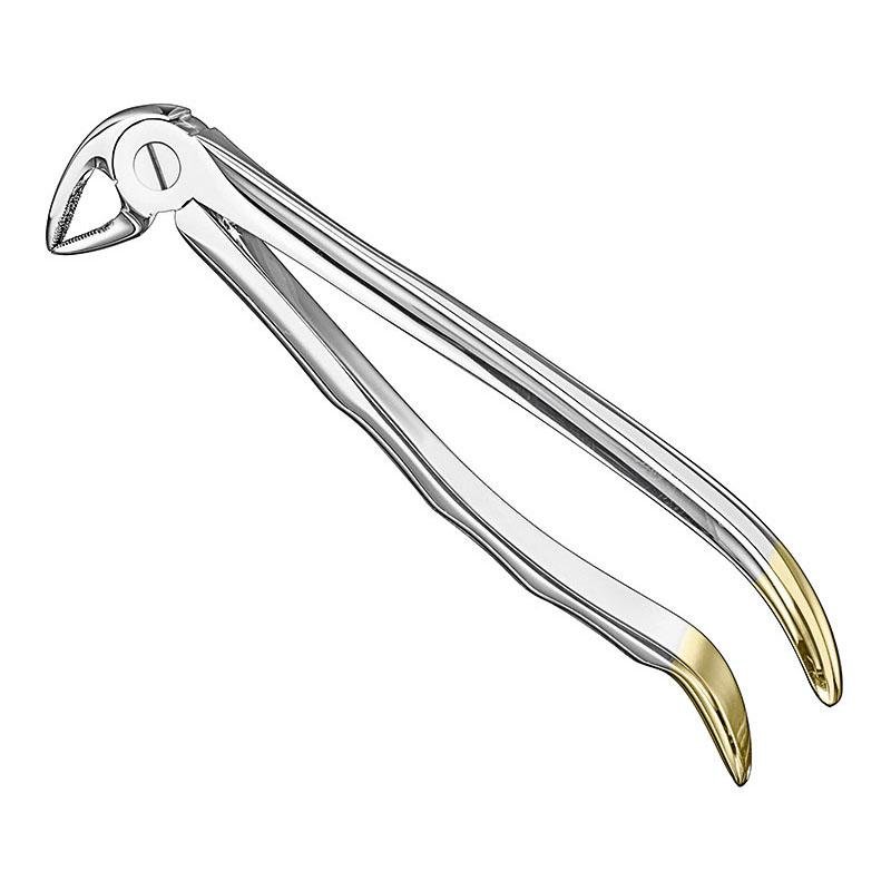 Extracting Forceps Anatomical — Size 33A — Size 33A