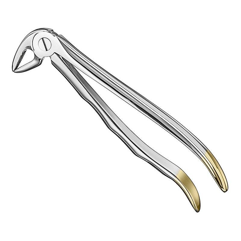 Extracting Forceps Anatomical — Size 33 — Size 33 (SKS-DEN-0023)