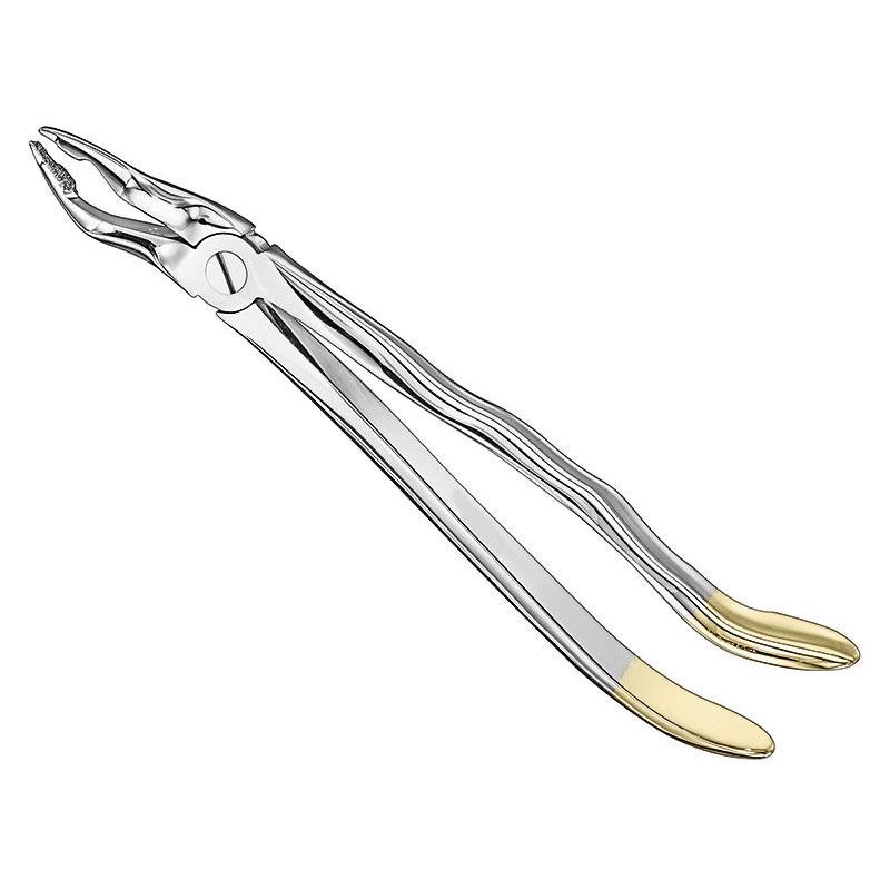 Extracting Forceps Anatomical — Size 31 — Size 31 (SKS-DEN-0024)