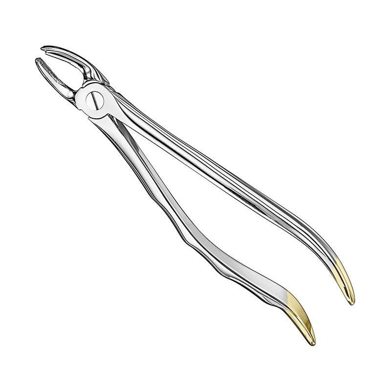 Extracting Forceps Anatomical — Size 18 — Size 18 (SKS-DEN-0031)