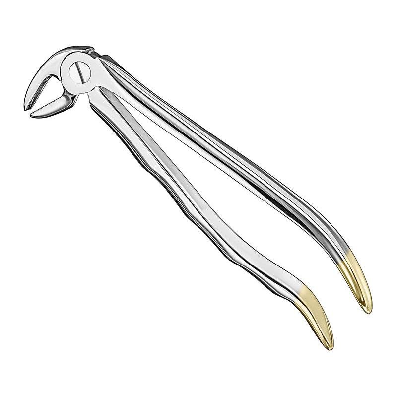 Extracting Forceps Anatomical — Size 13 — Size 13 (SKS-DEN-0035)