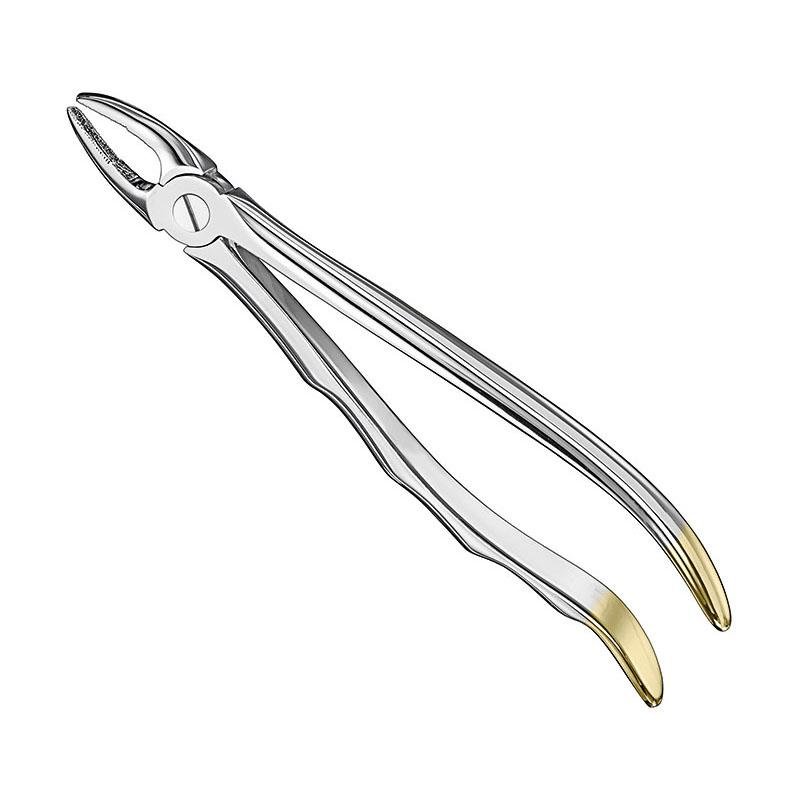 Extracting Forceps Anatomical — Size 2 — Size 2 (SKS-DEN-0038)