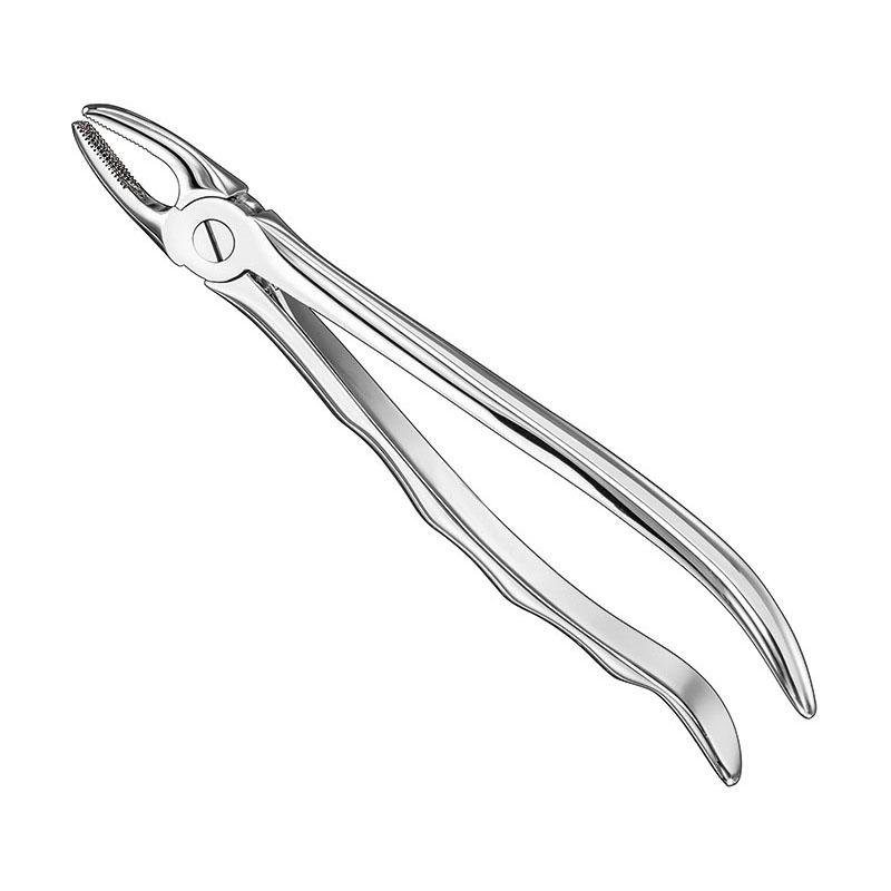 Extracting Forceps Anatomical — Size 2 — Size 2 (SKS-DEN-0058)