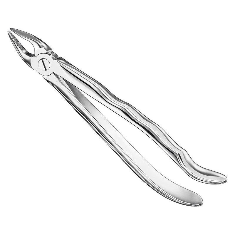 Extracting Forceps Anatomical — Size 34 N — Size 34