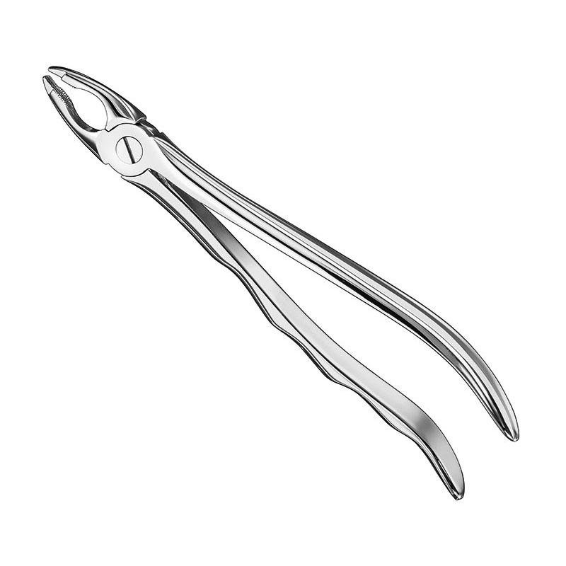 Extracting Forceps Anatomical — Size 34 — Size 34 (SKS-DEN-0061)