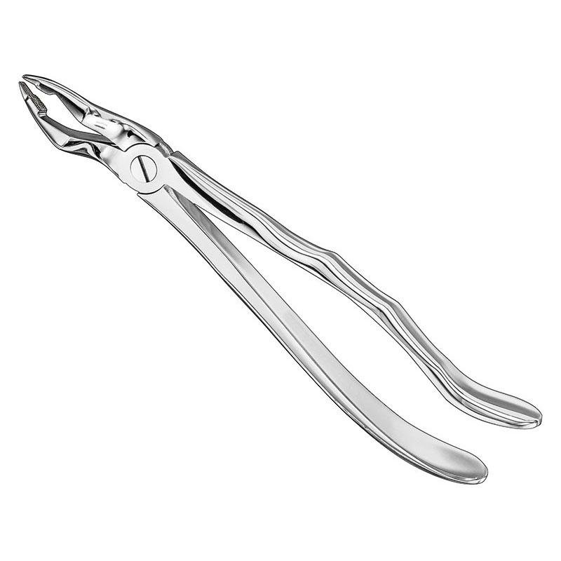 Extracting Forceps Anatomical — Size 31 — Size 31 (SKS-DEN-0063)