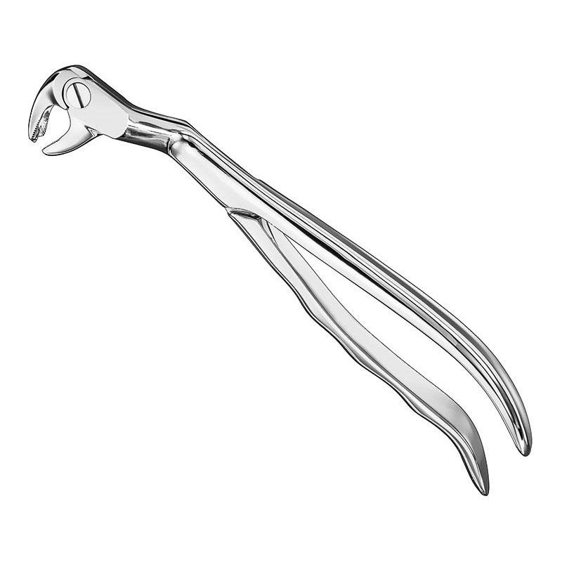 Routurier, Extr.forceps, Anatomical, Sz.22 1/2R