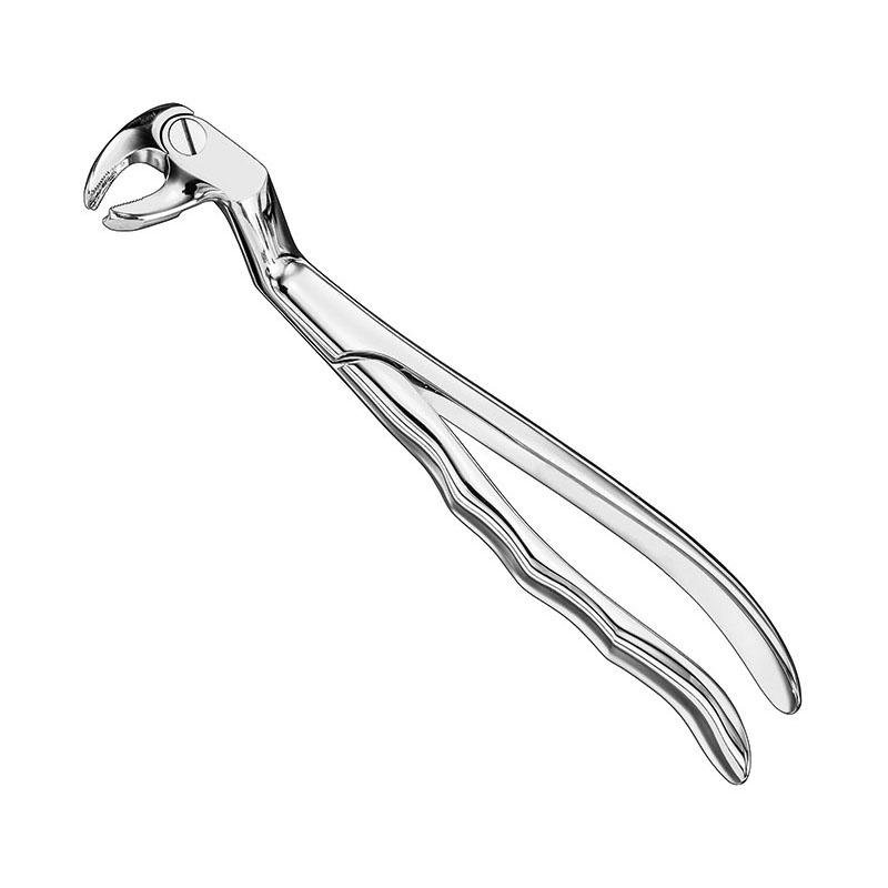Routurier, Extr.forceps, Anatomical, Sz.22 1/2L