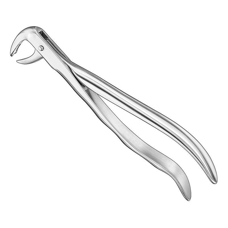 Extracting Forceps Anatomical — Size 99 1/4 — Size 99