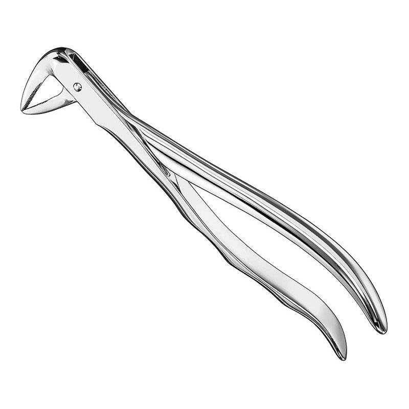 Extracting Forceps Anatomical — Size 74 Xn — Size 74