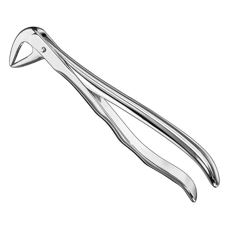 Extracting Forceps Anatomical — Size 74 N — Size 74