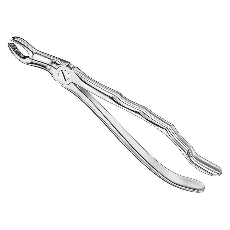 Extracting Forceps Anatomical — Size 67 — Size 67 (SKS-DEN-0077)