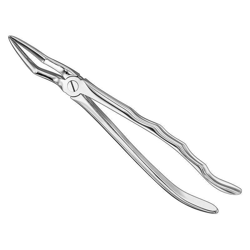 Extracting Forceps Anatomical — Size 51 L — Size 51