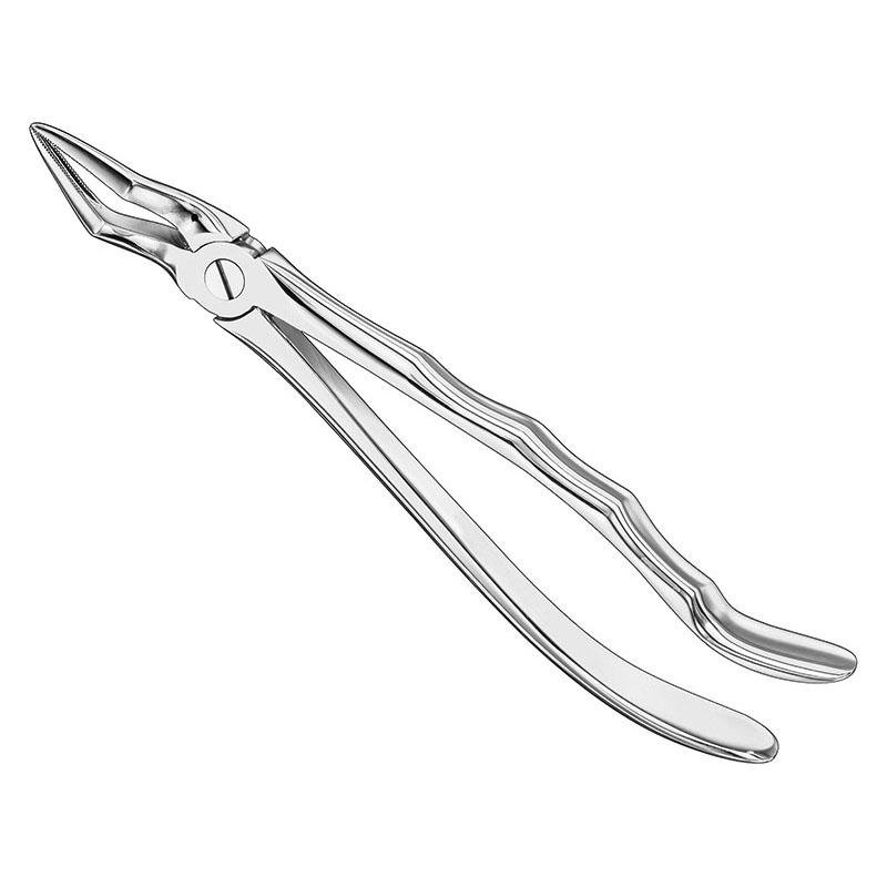 Extracting Forceps Anatomical — Size 51 A — Size 51