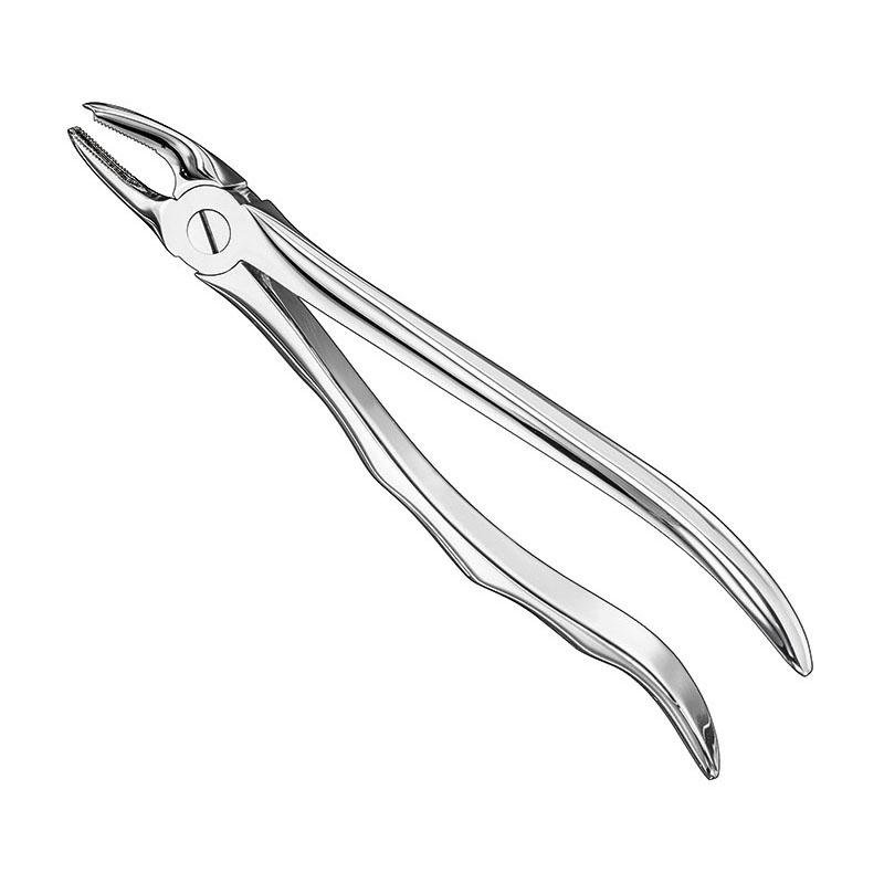 Extracting Forceps Anatomical — Size 39 L — Size 39