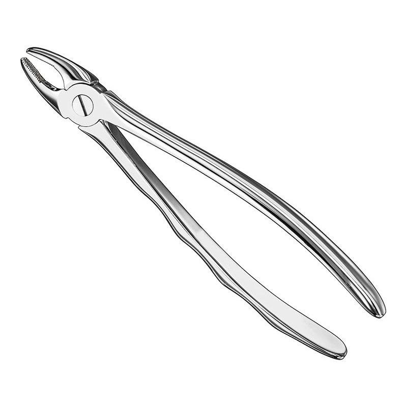 Extracting Forceps Anatomical — Size 37 — Size 37 (SKS-DEN-0083)