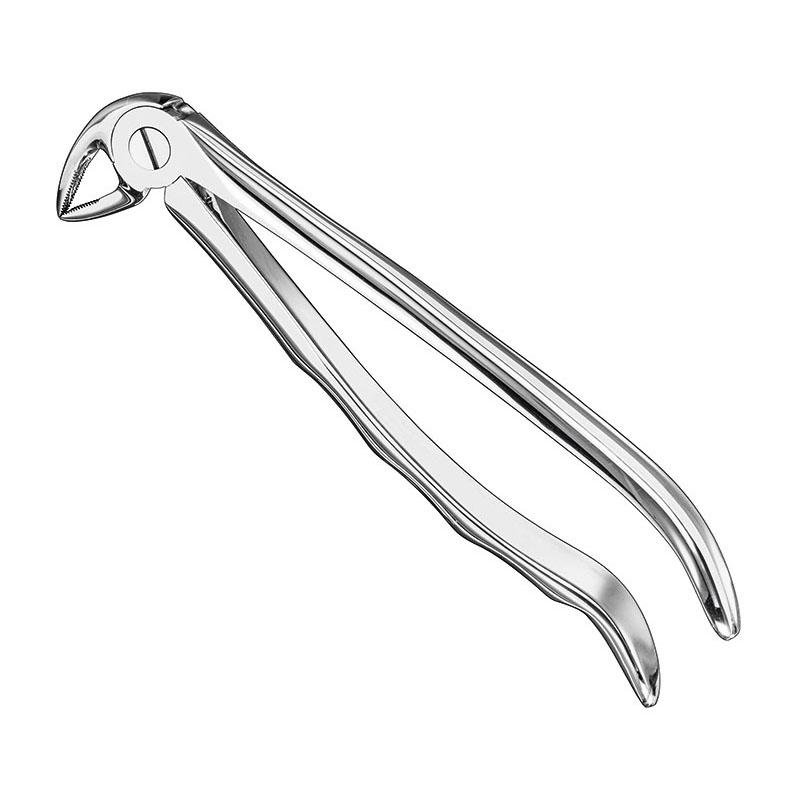 Extracting Forceps Anatomical — Size 33 L — Size 33