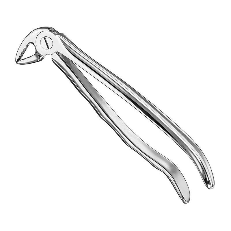 Extracting Forceps Anatomical — Size 33 A — Size 33