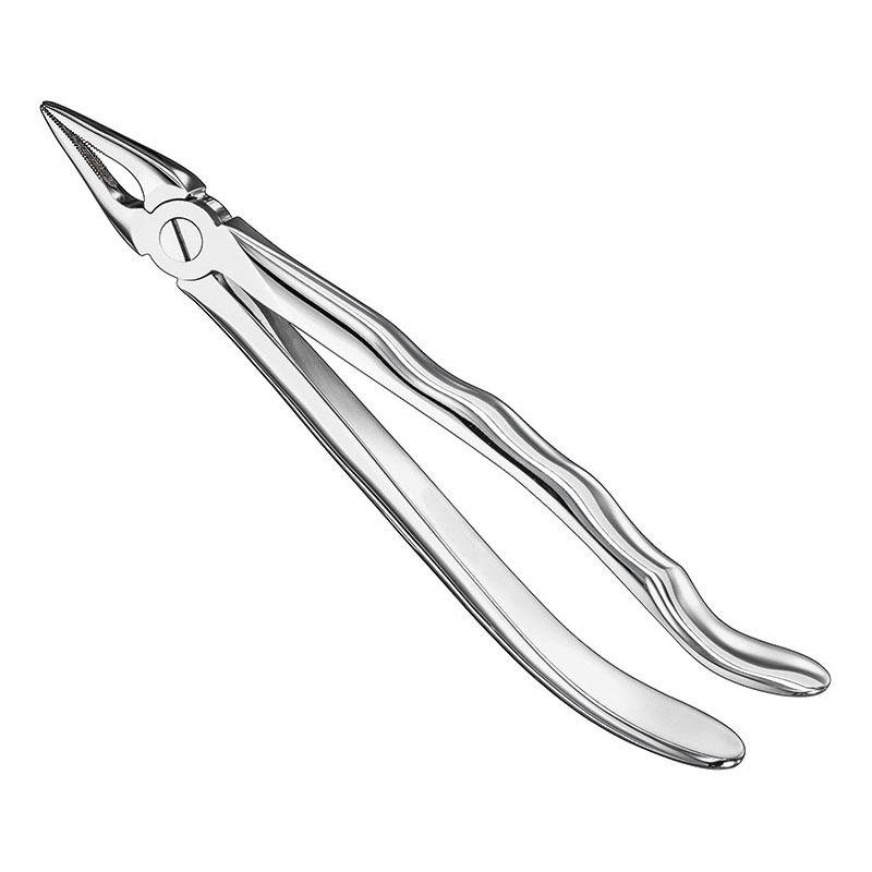 Extracting Forceps Anatomical — Size 29 — Size 29 (SKS-DEN-0088)