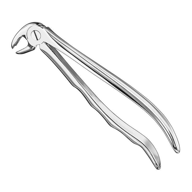 Extracting Forceps Anatomical — Size 22 — Size 22 (SKS-DEN-0092)