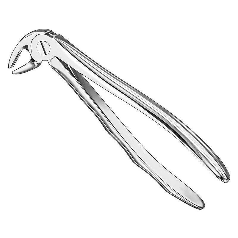 Extracting Forceps Anatomical — Size 13 S — Size 13