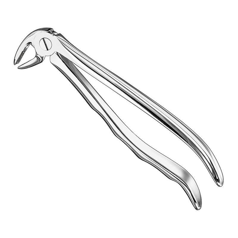 Extracting Forceps Anatomical — Size 13 A — Size 13