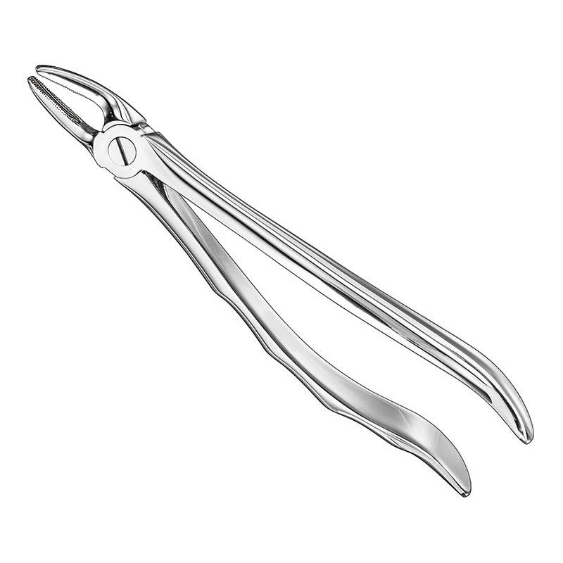 Extracting Forceps Anatomical — Size 7 — Size 7 (SKS-DEN-0098)