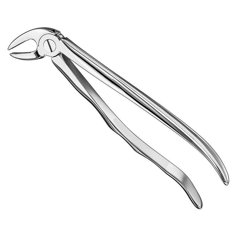 Extracting Forceps Anatomical — Size 4 — Size 4 (SKS-DEN-0099)