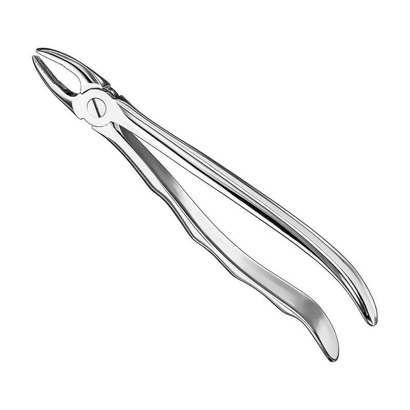 Extracting Forceps Anatomical — Size 2 — Size 2 (SKS-DEN-0100)
