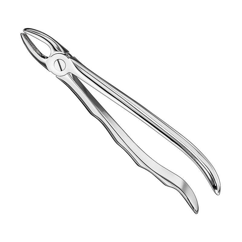 Extracting Forceps Anatomical — Size 1 — Size 1 (SKS-DEN-0101)