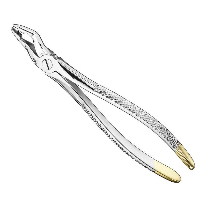 Extracting Forceps English Pattern — Size 31 — Size 31