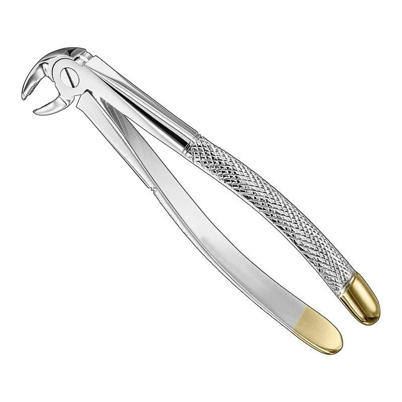 Extracting Forceps English Pattern — Size 24 — Size 24