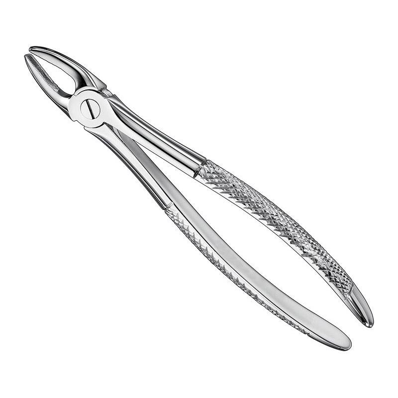 Extracting Forceps English Pattern — Size 2 — Size 2