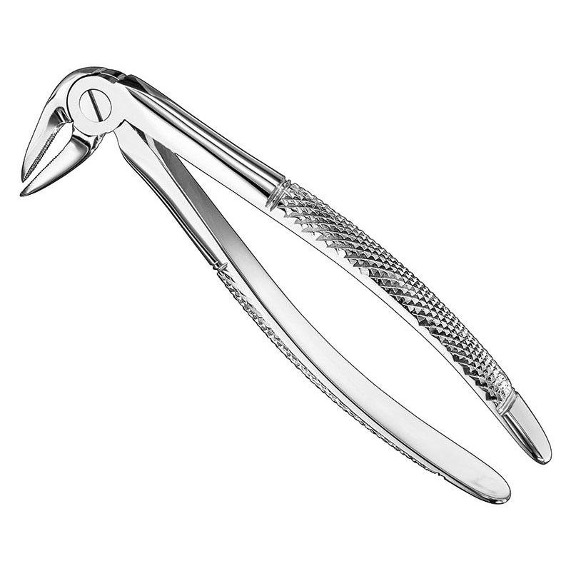Hartwig, Root Forceps, English Pattern, Lower (SKS-DEN-0163)