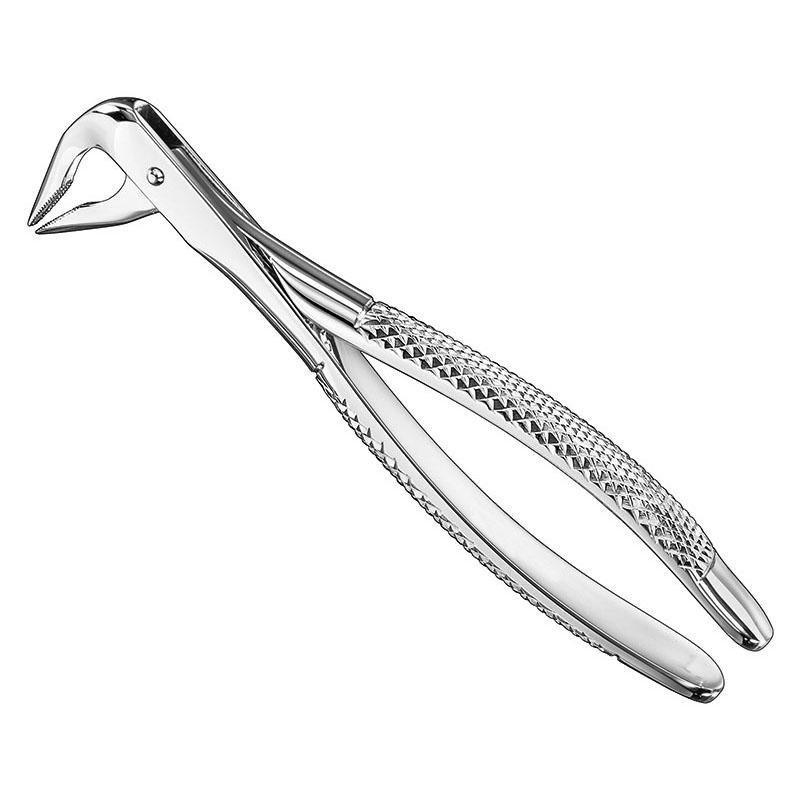 Extracting Forceps, English Pattern Patt — Size 36 N — Size 36