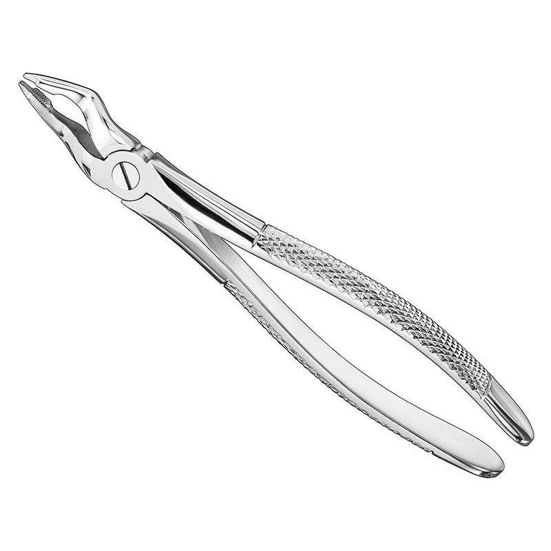 Extracting Forceps, English Pattern Patt — Size 31 — Size 31