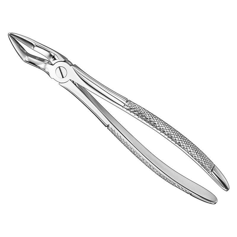 Extracting Forceps, English Pattern Patt — Size 51 — Size 51