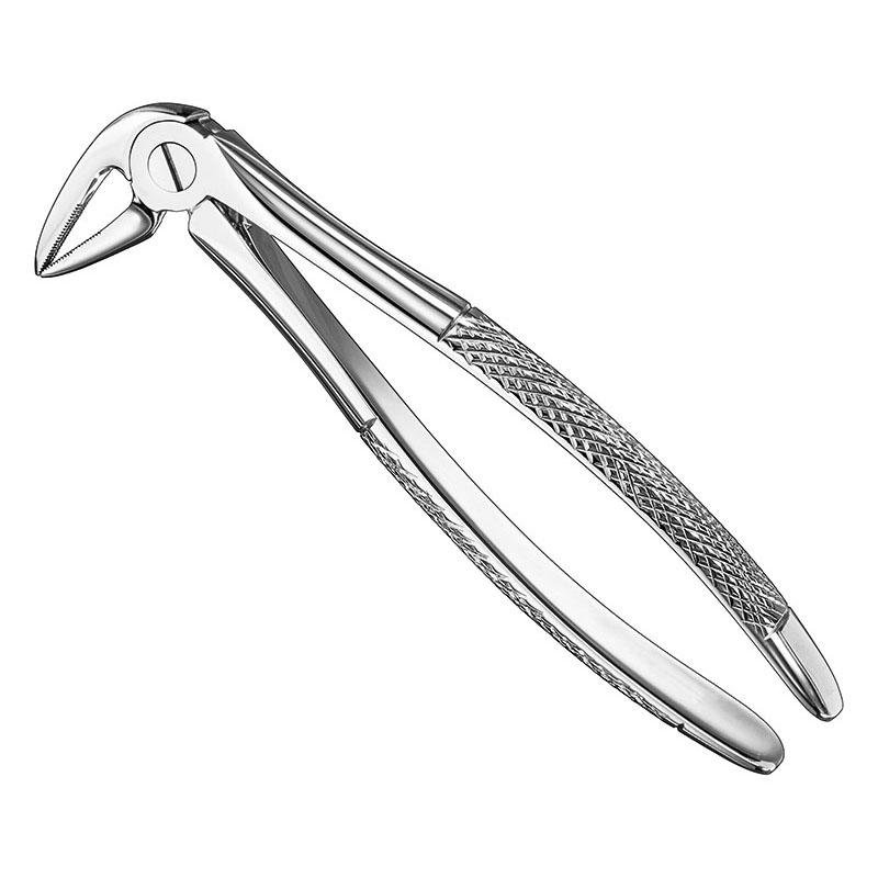 Extracting Forceps, English Pattern Patt — Size 33L — Size 33L