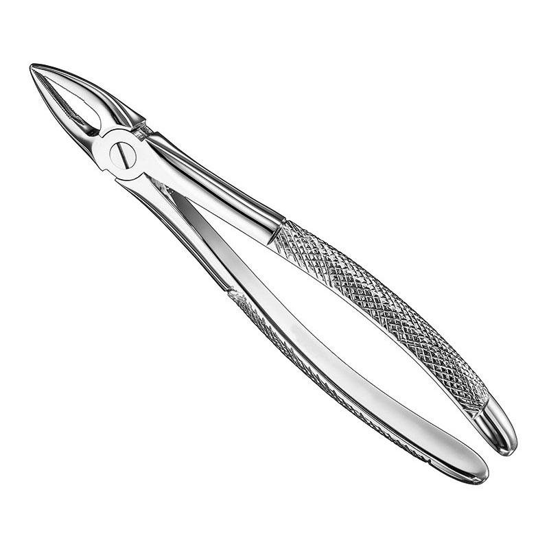 Extracting Forceps, English Pattern Patt — Size 29 — Size 29