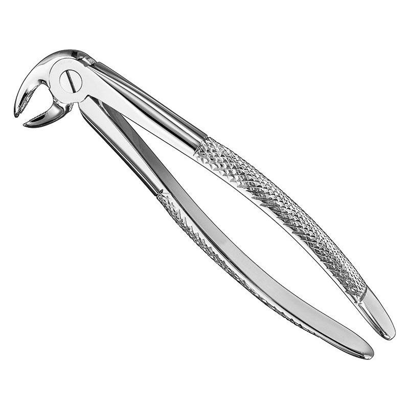 Extracting Forceps, English Pattern Patt — Size 24 — Size 24