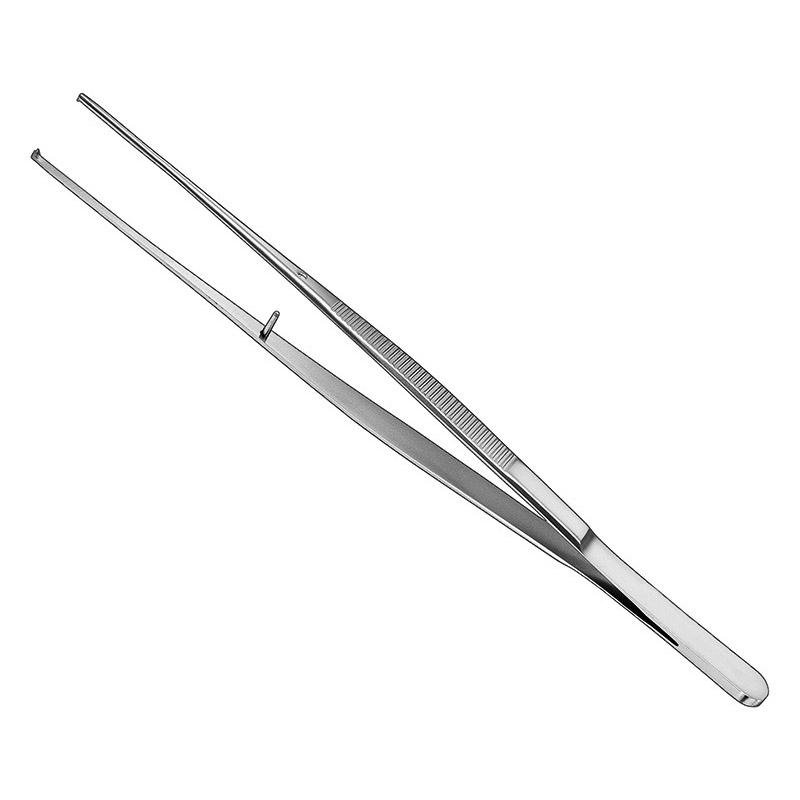 Semken, Tissue Fcps (SKS-DEN-0336)