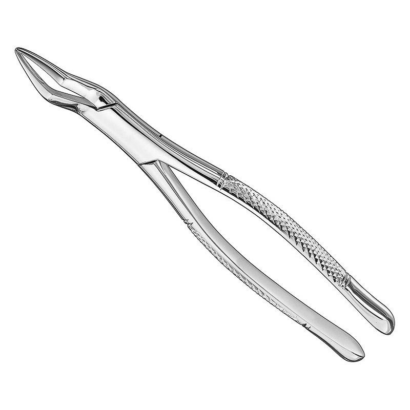 Extracting Forceps, American Pattern, Sz. 65