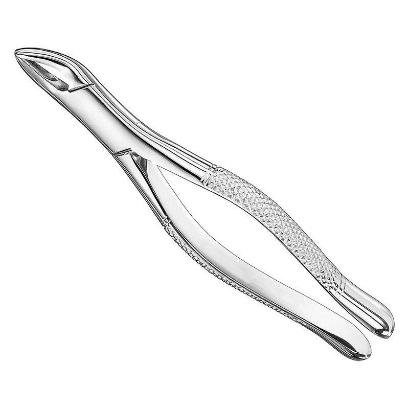 Extracting Forceps, American Pattern, Sz. 62