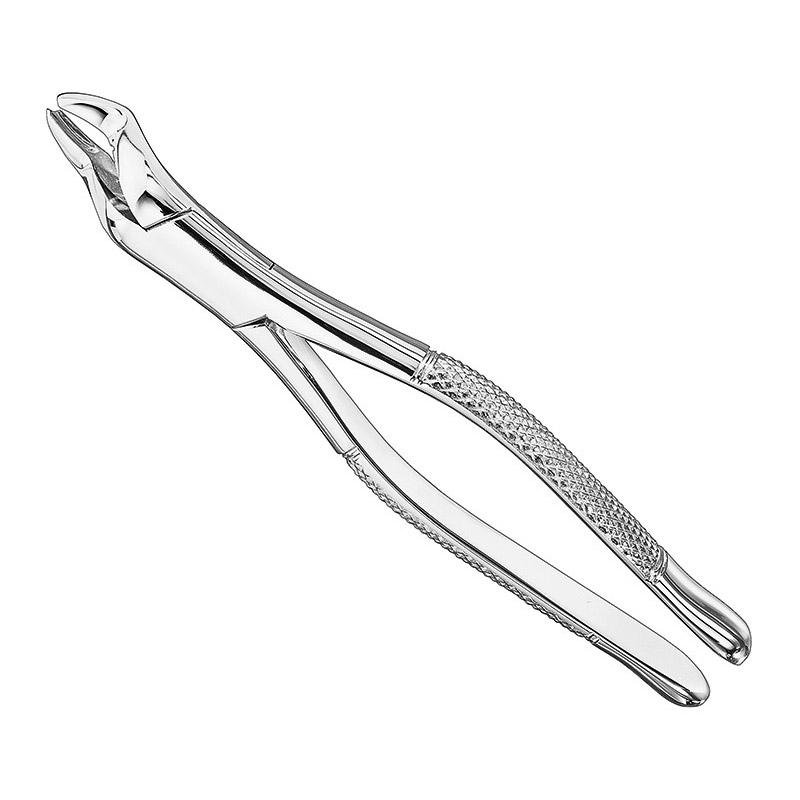 Extracting Forceps, American Pattern, Sz.53R