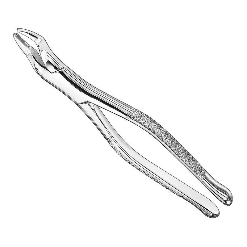 Extracting Forceps, American Pattern, Sz.53L