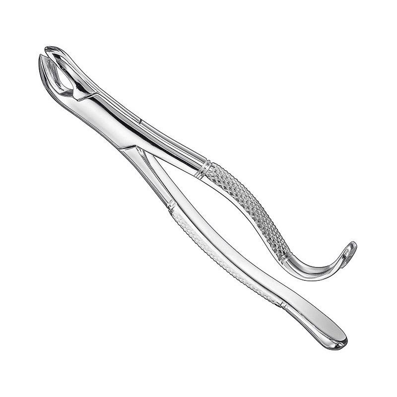 Extracting Forceps, American Pattern, Sz.24
