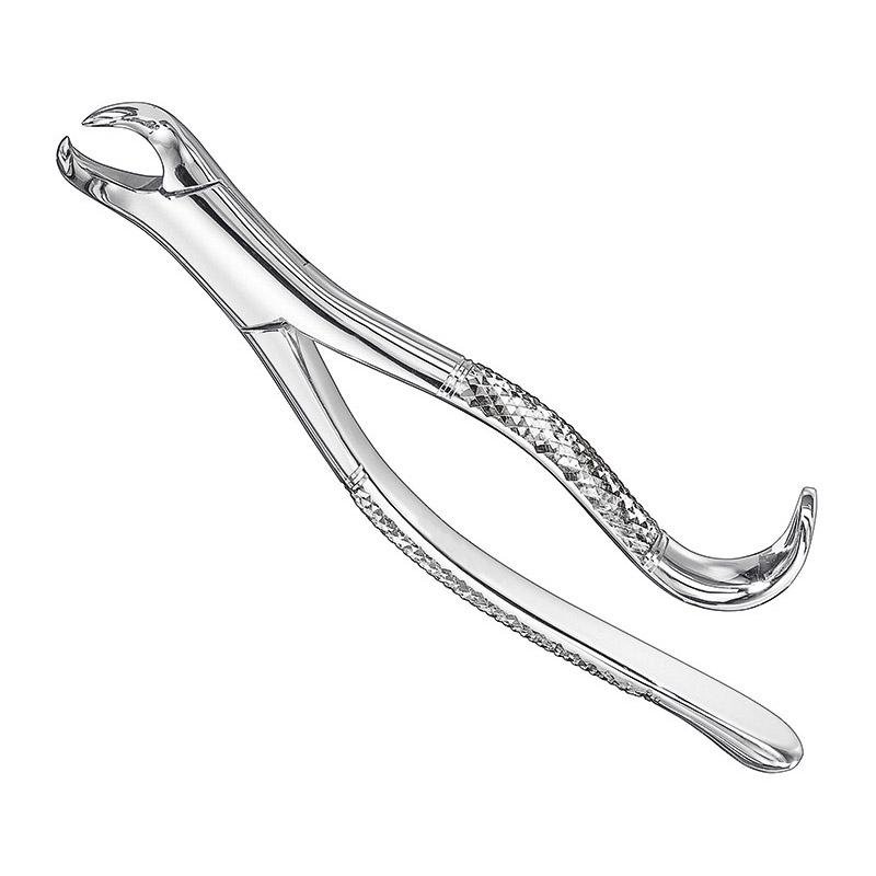 Extracting Forceps, American Pattern, Sz.16